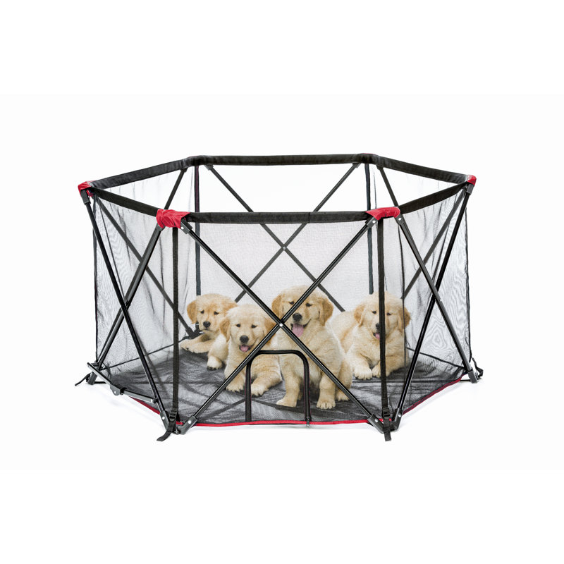 26'' H Metal Exercise Pen, 26" H x 48" W x 48" D