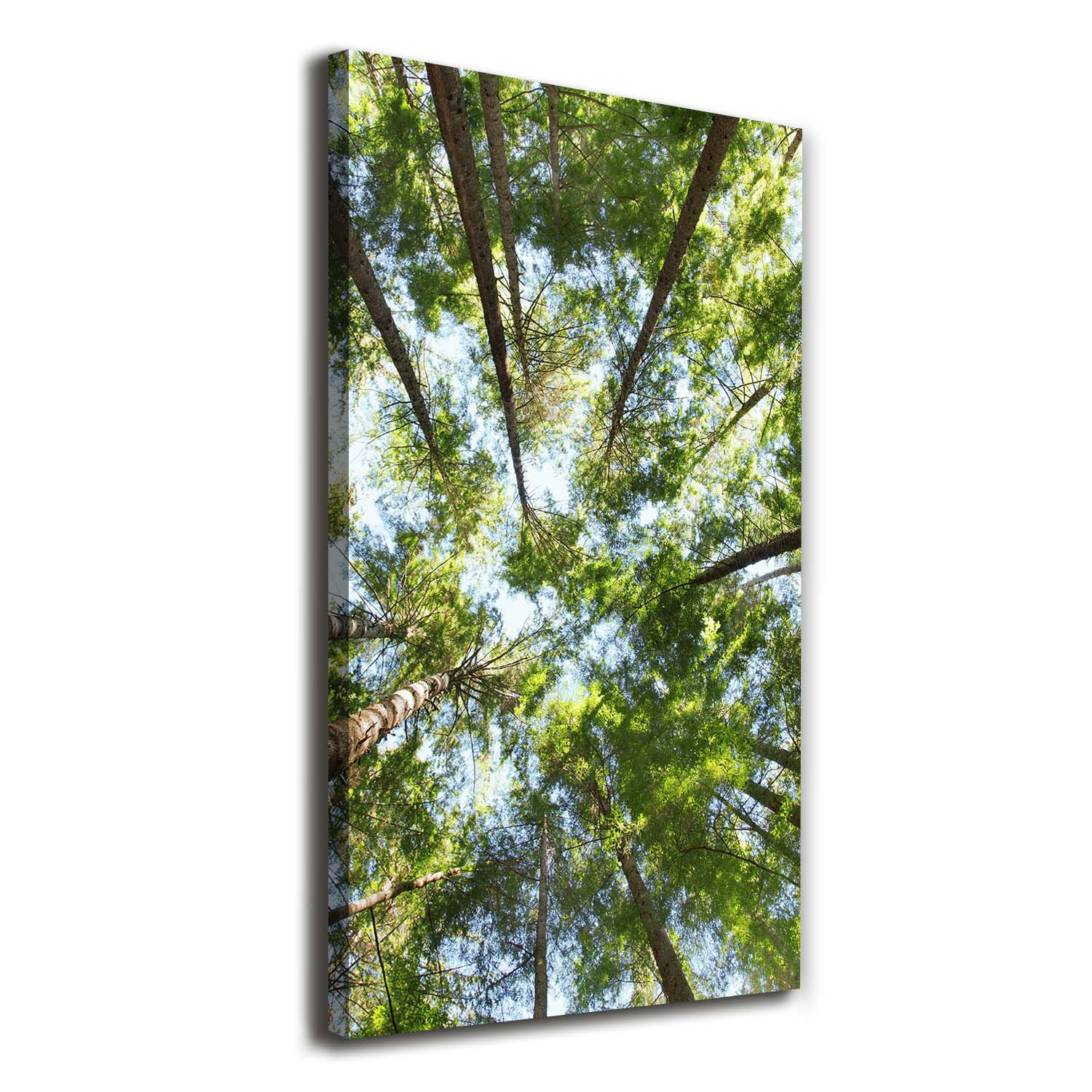Union Rustic Crown of Trees - Wrapped Canvas Art Print | Wayfair.co.uk