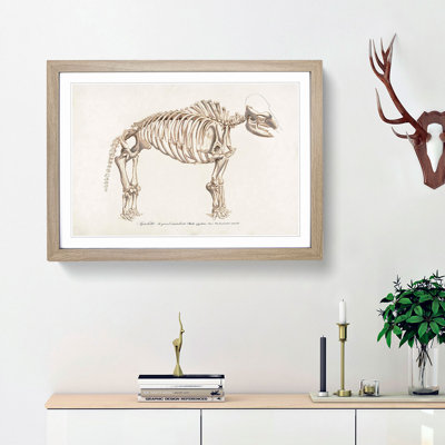 Mammoth Skeleton by Charles d Orbigny - Framed Print