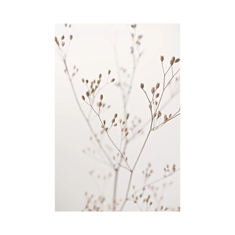 Wildflower Natural Beige I by Monika Strigel - Wrapped Canvas Print, 20.32 cm H x 30.48 cm W