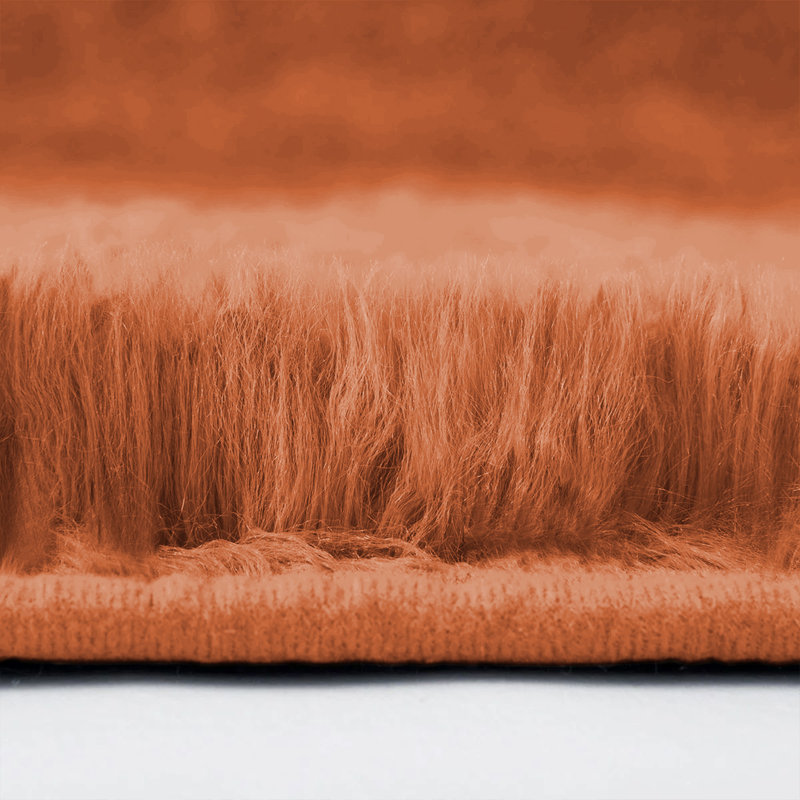 Machine Tufted High Pile Shag Area Rug(Ultra Soft & Fluffy), Rectangle 120 x 170 cm, Rust