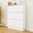 Tipping Bucket Shoe Cabinet with Flip Drawers and Hooks-758876384