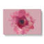 Layers Of A Pink Gerbera In Abstract - Wrapped Canvas-55310475