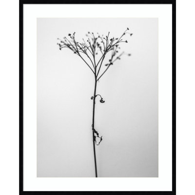 «Amid the Flowers 13» par Teis Albers - Impression sur papier d'une seule photo