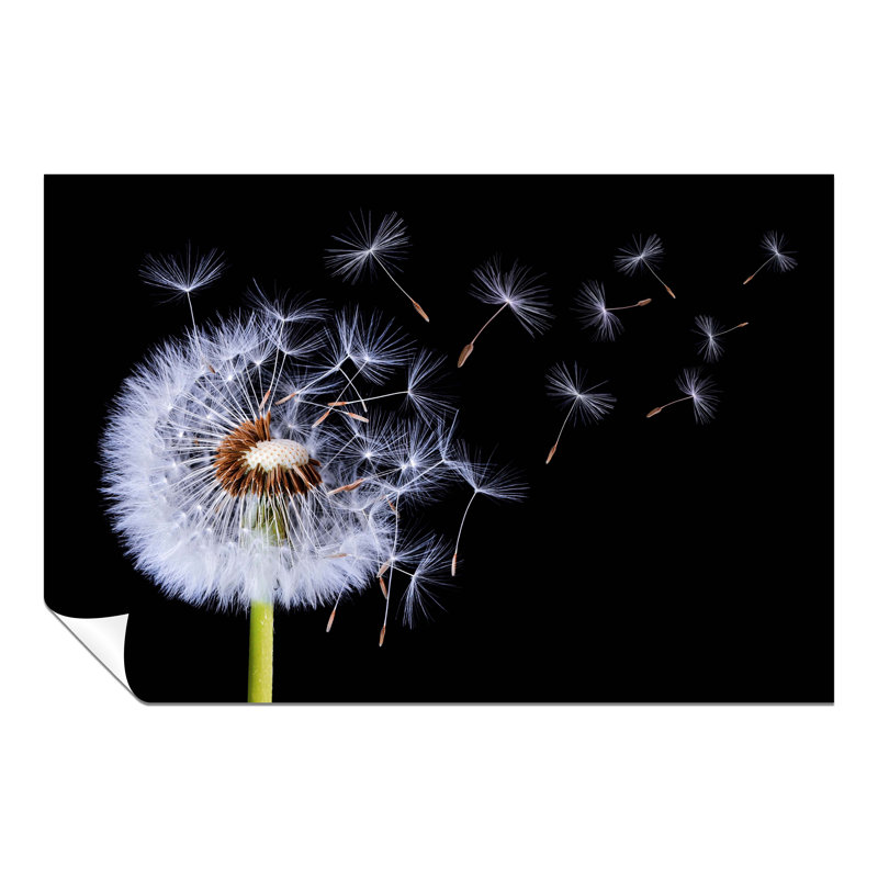 Dandelion Blossom Wind Blown 1 Piece Wall Art, 20cm H x 31cm W