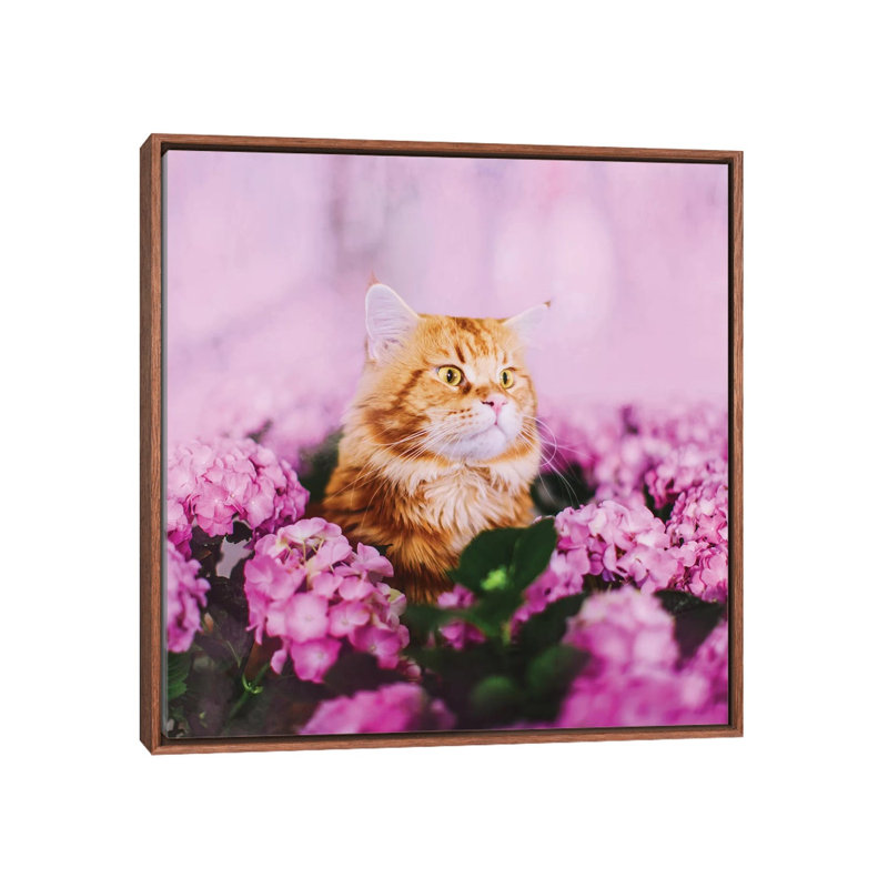 « What » par Hobopeeba-reproduction de photo, Toile avec cadre en bois brun classique, Pas de tapis