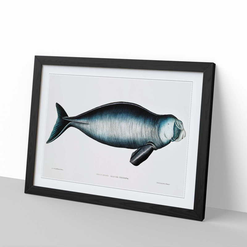 Indian Dugong by John Edward Gray - Framed Print, Black Framed, 48cm H x 65cm W x 2cm D