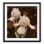 « flores élégante iii », reproduction encadrée-266815140