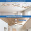 Damecia 52'' Ceiling Fan with LED Lights-1836628952