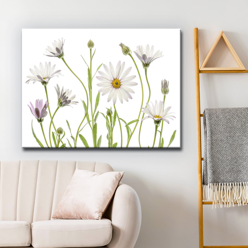 « cape marguerites »-impression sur toile tendue, H 12 po x l 16 po x P 1,5 po