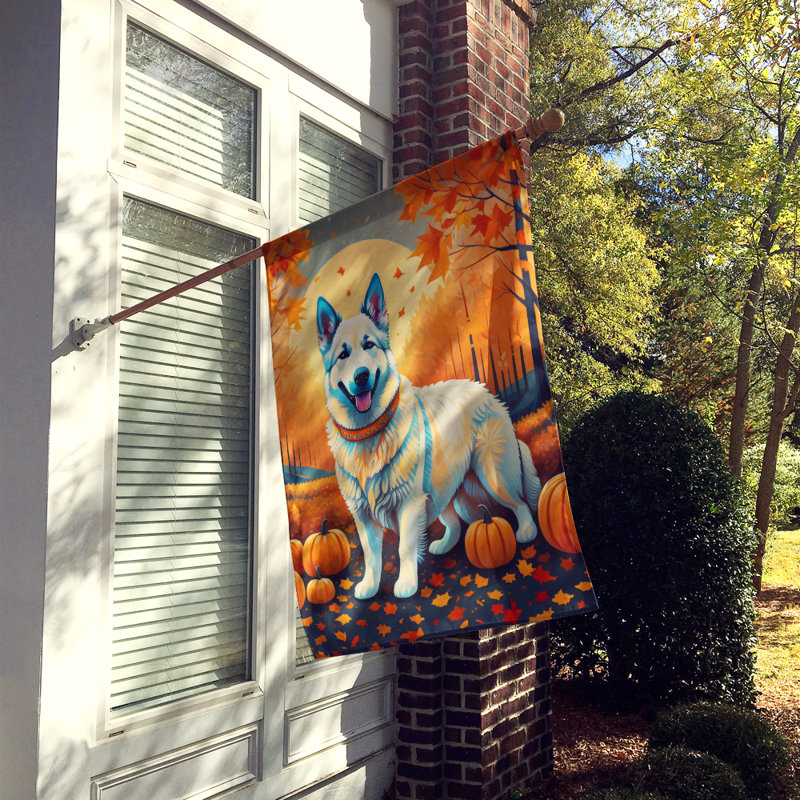 Drapeau de maison en polyester à double face H 40 po x l 28 po