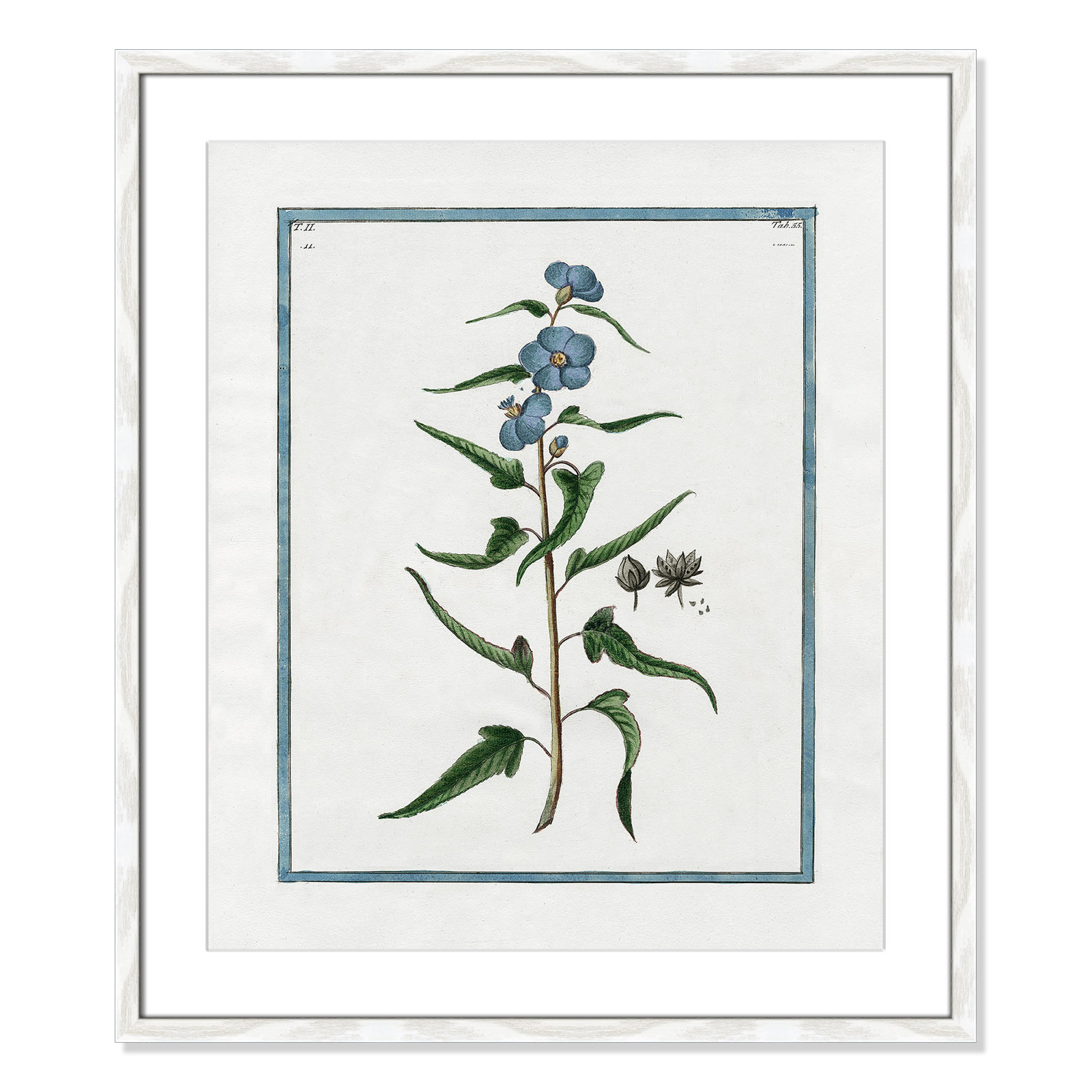 Colombe "Shabby Elegance Botanical I" Print, 21.5" W x 25.5" H, White Framed