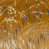 Jaune ocre / or doux
