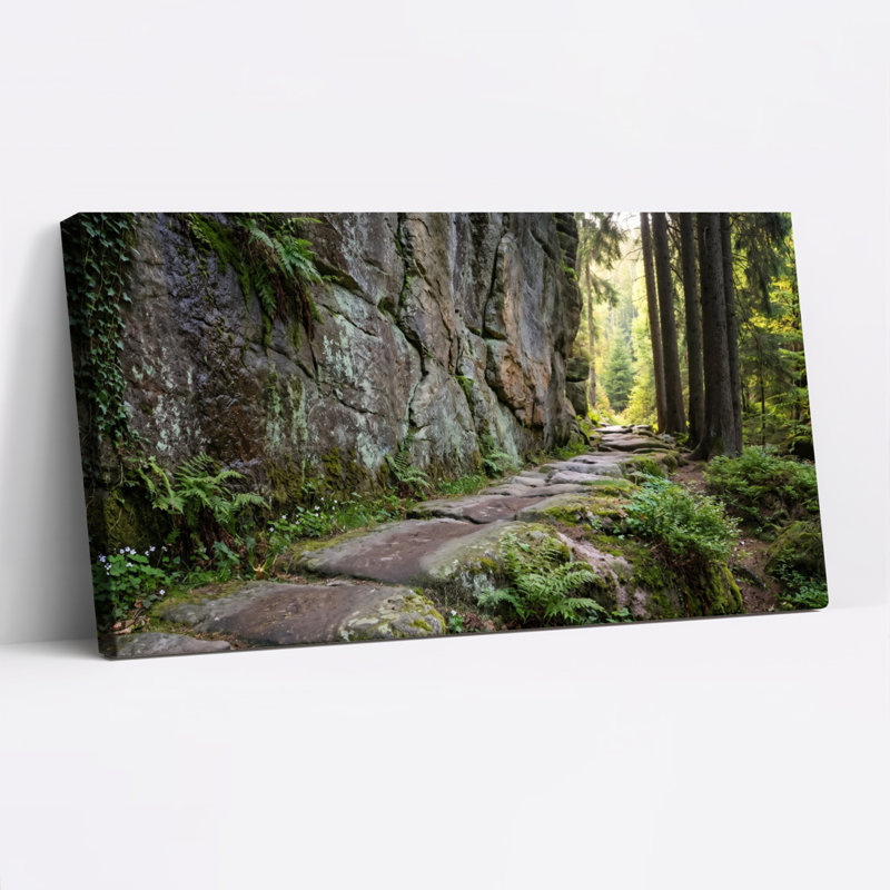 «Forest Path», reproduction d'art sur toile, ensemble de 1, Toile tendue, L 58 po x H 28 po