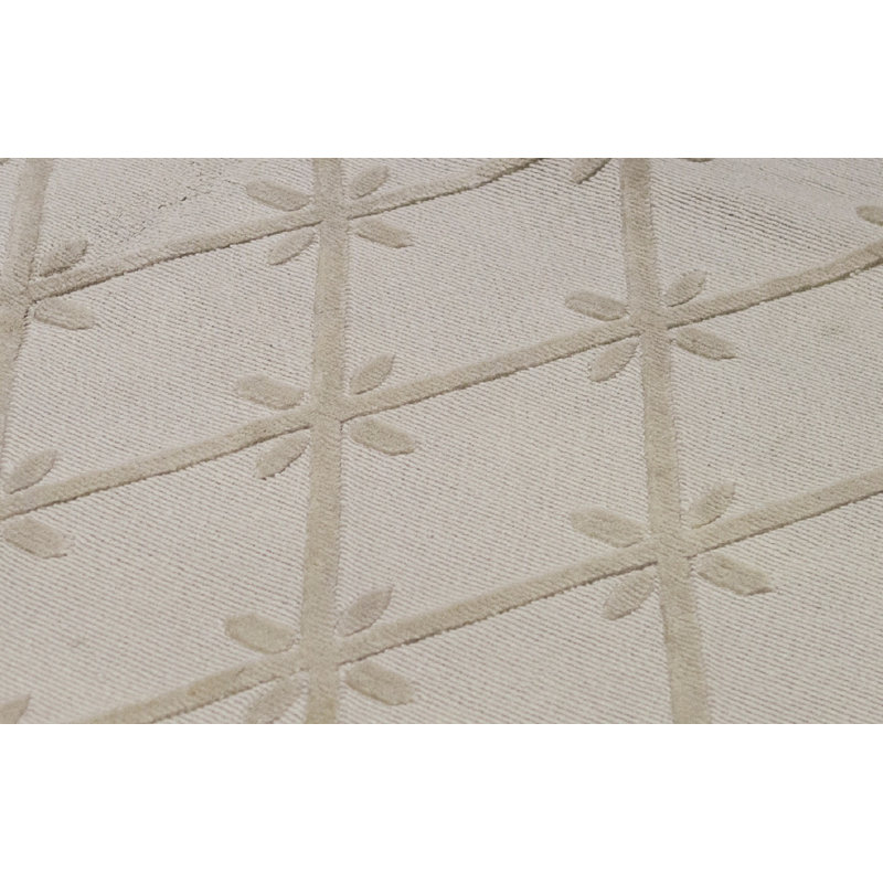 Hand-Knotted High-Quality Beige Area Rug