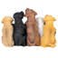 Statue de chiot parade amusante