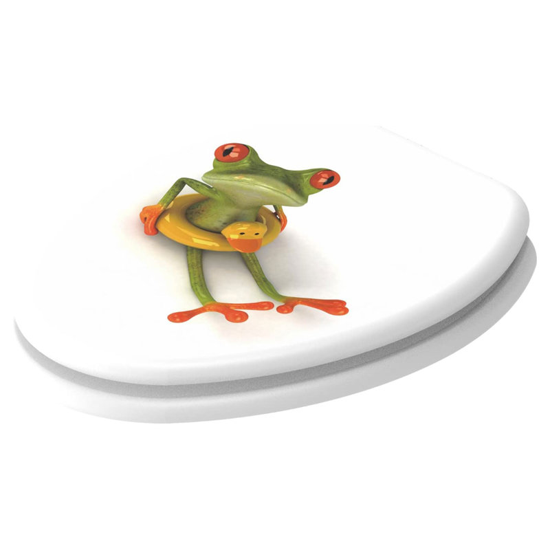 Elongated Toilet Seat and Lid