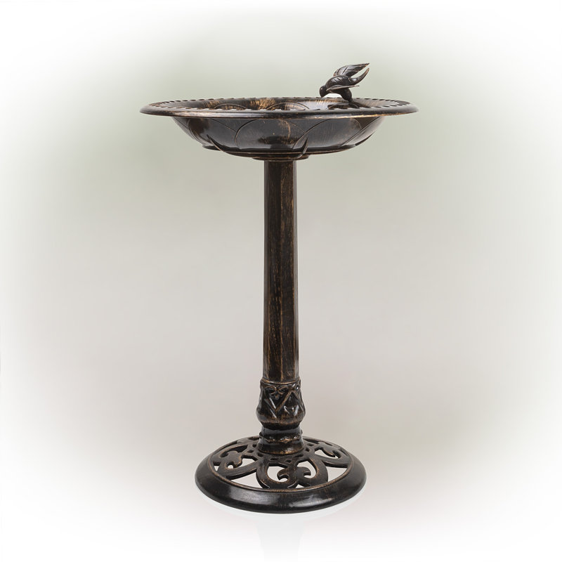 Bain d’oiseaux Henton
