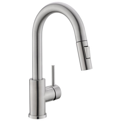 Robinet de cuisine Topcraft à poignée unique et douchette extractible