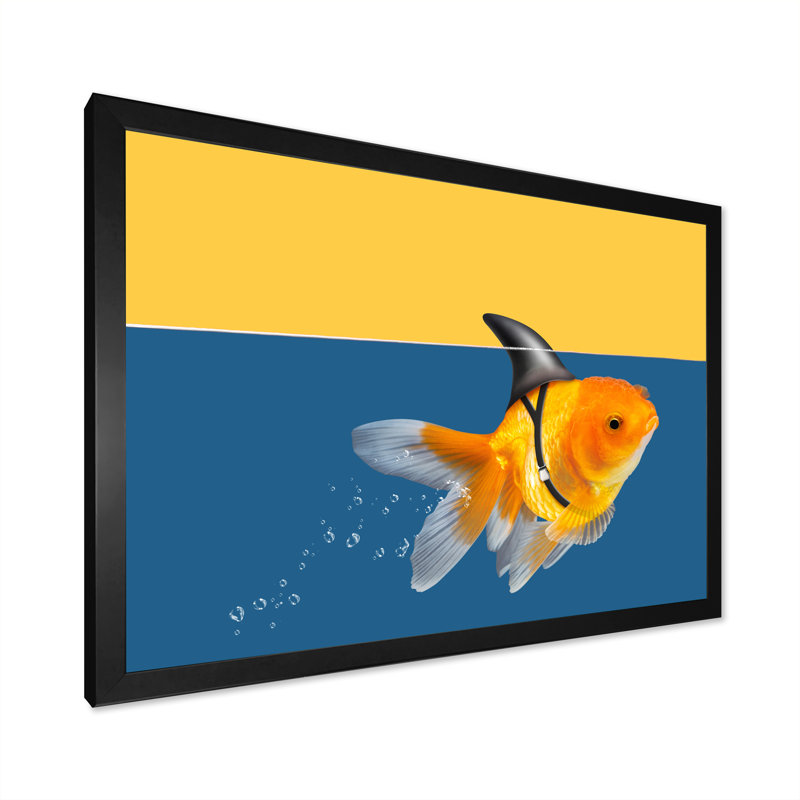 " Goldfish Shark Swimming ", Black Picture Frame, 16" H x 32" W x 1" D