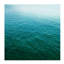 Emerald Dream II Print by Sofia Fox-26774404-26774408