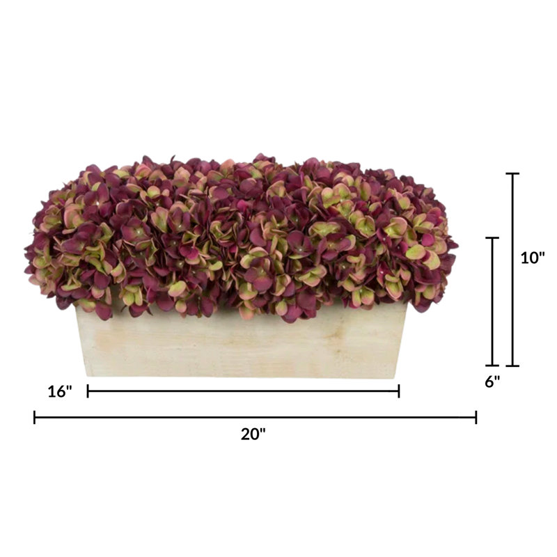 Arrangement d'hortensias en prune, Prune, Beige