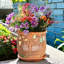 Pot à fleurs en céramique avec trou de drainage et soucoupe Annalyia Owls