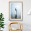 Solitary White Tulip Painting - Framed Print-56922534-56922535