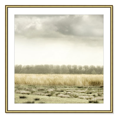 Henri "Meadowland" Print by Danita Delimont