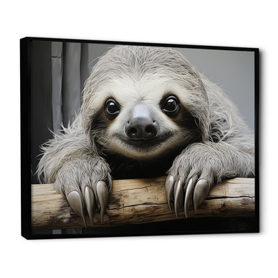Mellow Sloth - Sloth Canvas Prints