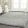 Assiya Shag Performance Solid Color Rug