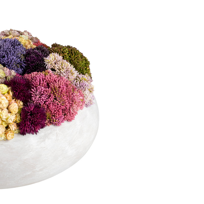 Verona Sedum Arrangement