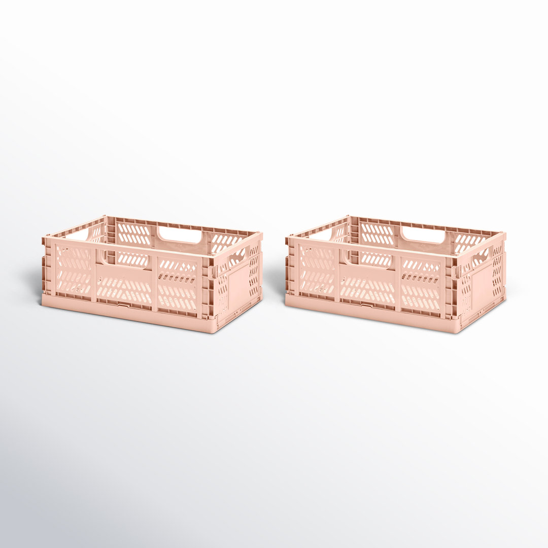 2 Piece Plastic Crate Set (Set of 2) 3 Sprouts