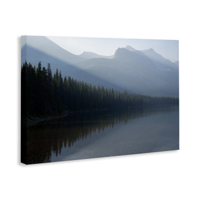 "Foggy Lakeside Trees", art mural par Hunter Page