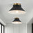 1-Light Dome Flush Mount Light
