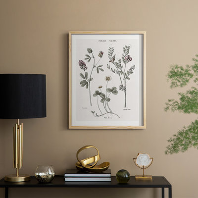 Multi Botanical I, reproduction encadrée - bois massif
