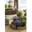Solid Wood Tray - Set of 2