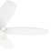 Champlain 52'' Ceiling Fan with LED Lights