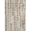 The Rug Company X Paul Smith Raster-406136372-406136371