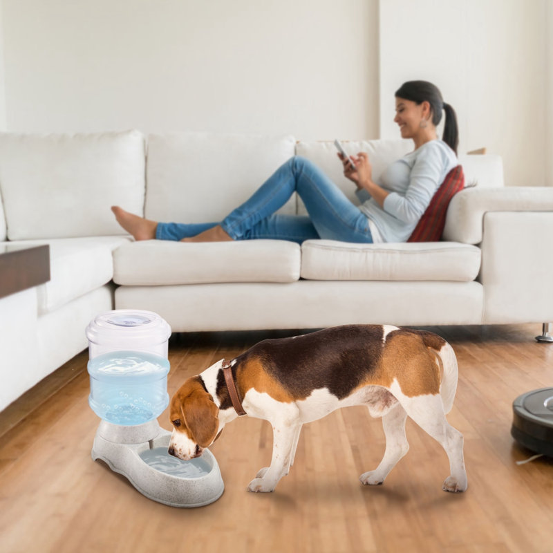 Bol à nourriture automatique pour animaux