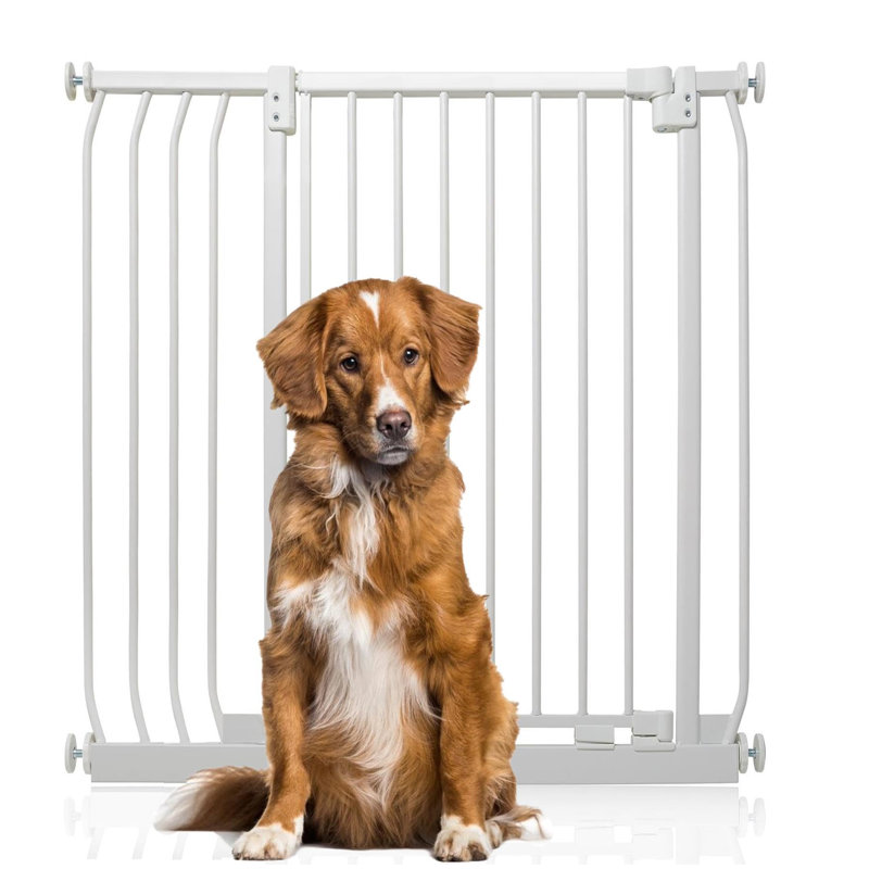 Metal Pressure Mounted Pet Gate, 216cm - 225cm, White