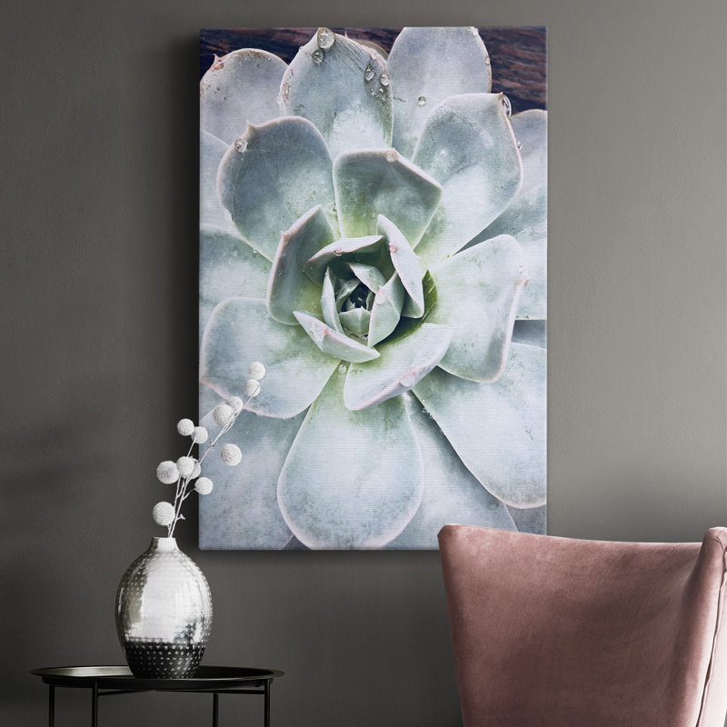 Pastel Succulent Beauty IV - Photographie sur toile tendue, H 12 po x l 8 po x P 1,5 po
