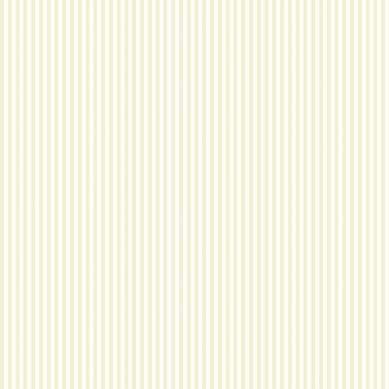 1000cm x 50cm Matte Wallpaper Roll, Green
