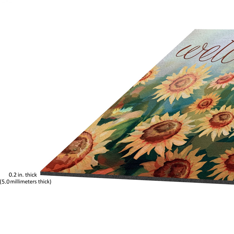 Tapis de porte d'extérieur antidérapant Amy-Rae 18 po x 30 po
