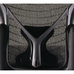 Aeron® Back Support