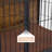 Furniture Style Dog Crate With Mat-1489851311