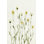 Marguerites blanches antiques II