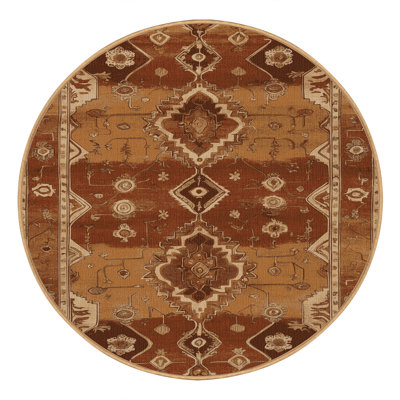 Machine Washable Persian Brown Area Rug