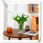 Tulip Arrangement-1226906764