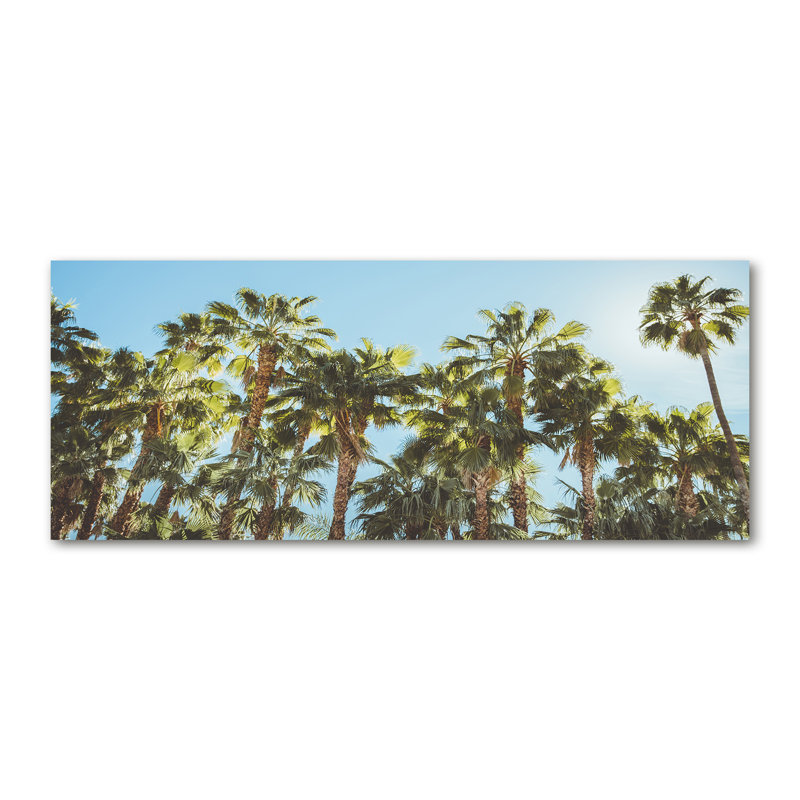 High Palm Trees - Print, 70cm H x 100cm W x 4cm D, Glass